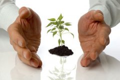 �����ɫ��ʲôԭ�� ������������������ʧ��