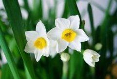 ˮ�ɻ���ô�� ˮ�ɻ�����ֳ��������