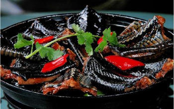 怕冷吃什么好""