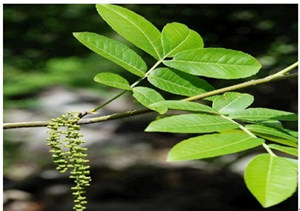 ��Ǯ����ʲô�� ��Ǯ������