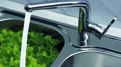 ʲô���ӵ�ˮ��ͷ�� ˮ��ͷƷ������Щ