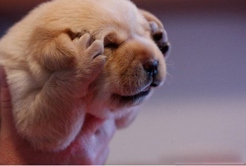 脸上长脓包是什么原因""