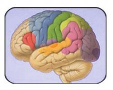 ʲô��ǻ϶���Թ��� ǻ϶���Թ�����ʲô