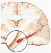 �Թ����Ļ������� ��λ���