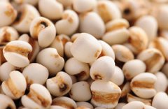 ʪ�ȳ�ʲô�� ����ʪ�ȵķ�������Щ