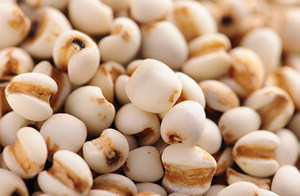 湿热吃什么好 治疗湿热的方法有哪些