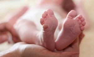 С���ų���ô�� ��γ��ų�