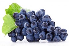 �����ѵĺô�����Щ ���ѵ�Ӫ����ֵ