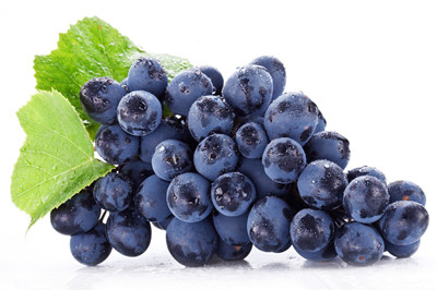 �����ѵĺô�����Щ ���ѵ�Ӫ����ֵ