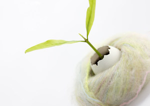 ÷����ô���� ��ù������÷������Ч