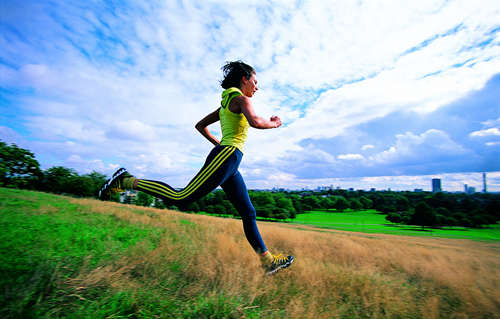 ����ά����ƫ������""