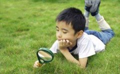 �������ۿ�����ȱ�� ȱ�Ƶ�������