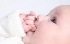 ����Щ������ĸ��ι�� ĸ��ι���Ľ���