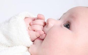 ����Щ������ĸ��ι�� ĸ��ι���Ľ���