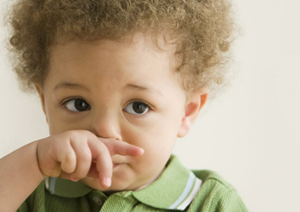 С�����Ե�ע������ �������С������