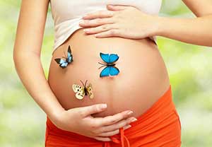 ��ά�ʳ�������