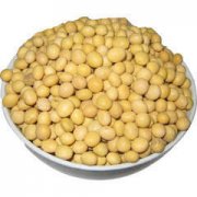 ���޻���ǰע������ �����г�ʲô���Բ���Ҷ��