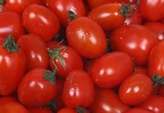 ������������ʥŮ�� �ܳ�ʥŮ����