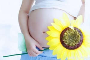 孕期营养解析 孕妈营养补充