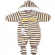 ��������ʽ ��������ʲô����