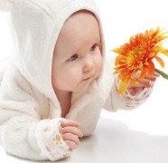 o���ȼ��� o������������Щ��������