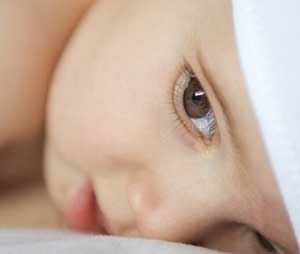 Ӥ��Ƥ������Ļ���