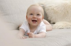 ��������dha ��κ����ĸ���������DHA