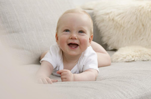 ��������dha ��κ����ĸ���������DHA