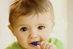 ���Ԥ���������������� ����Ԥ��