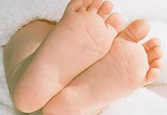 �������ʲ���ô�� ����������ʳ