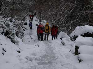 ��ɽ�˶��ļ���