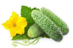 ���������ʳ�� ��������˳���ȹ�����