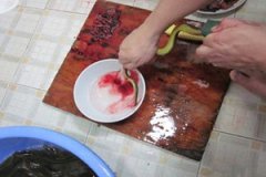 ����Ѫ�Ĺ�Ч������ ����Ѫ����̱��Ч����