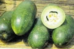 ���ϵ�Ӫ����ֵ����Щ �ʺ���Щ��Ⱥ��