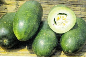 冬瓜的营养价值