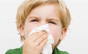 �����ɿȵ�ʳ�Ʒ���