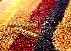 学龄前儿童饮食