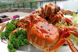 阳澄湖大闸蟹的特点