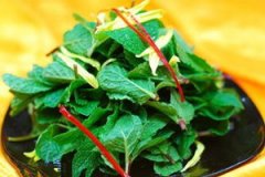 Ұ�˵�Ӫ����ֵ����Щ Ұ�˳�����ʲô�ô�