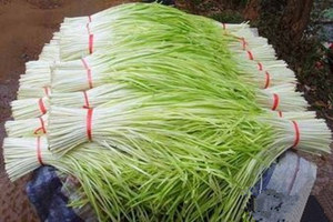 �»ƵĹ�Ч������