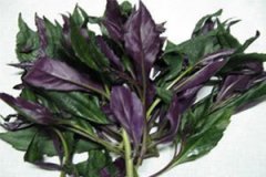 �ϱ��˵Ĺ�Ч��������ʲô �ϱ��˵�ʳ�÷���