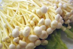 ���빽��Ӫ����ֵ����Ч��������ʲô