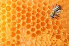 ���ڷ����㲻�ò�֪����9����ʵ