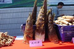 ë�����Ӫ����ֵ��ҩ�ü�ֵ��ʲô