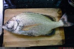 ������ĸ���λ��Ӫ�� ��ĸ���λӪ����ֵ