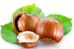 ��ӵĹ�Ч��������ʲô ��ӵ�Ӫ����ֵ