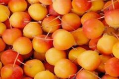 ���Ĺ���ҩ�ù�Ч��Ӫ����ֵ��ʲô