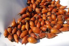 ��ӣ�ӵ�Ӫ����ֵ��ʲô ��ӣ�ӵĹ�Ч������