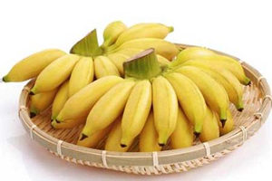 ŽĹЧ