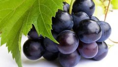 �����ʲôˮ���� �Ƽ��＾5��ˮ��